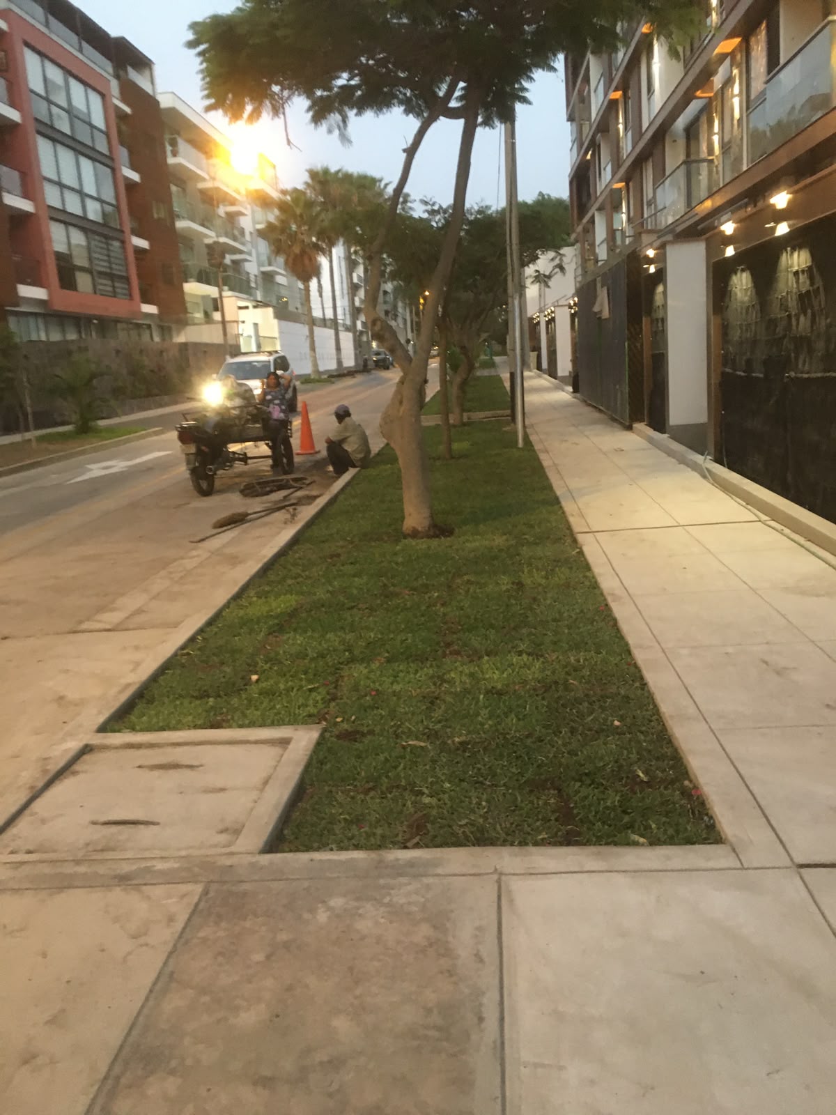 Grass instalado en berma de calle en Lima